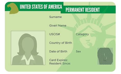 self petition green card|How to Sponsor Yourself for an Employment.